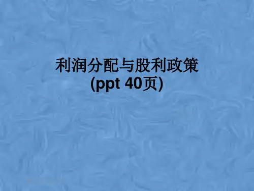 利润分配与股利政策(ppt 40页)