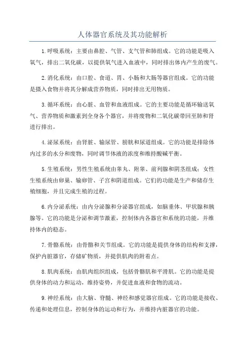 人体器官系统及其功能解析