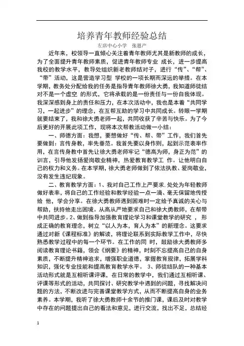 培养青年教师经验总结