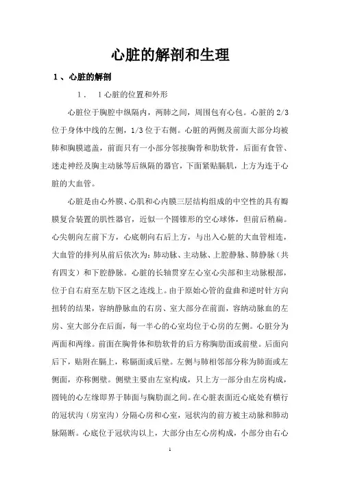 心脏的解剖和生理功能是怎样的？