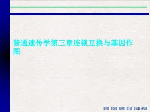 普通遗传学第三章连锁互换与基因作图ppt课件