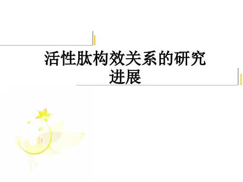 活性肽构效关系的研究进展