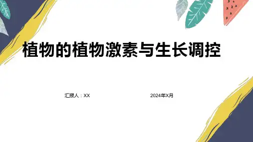 植物的植物激素与生长调控