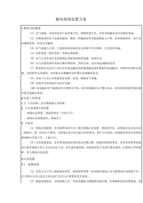 触电现场处置方案