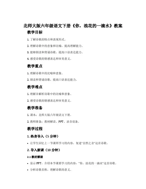 北师大版六年级语文下册《你,浪花的一滴水》教案