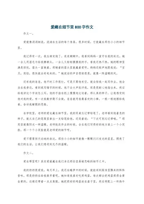 爱藏在细节里800字作文