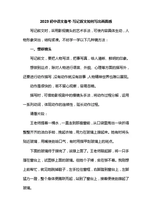 2023年中考语文专题复习-写记叙文如何写出画面感