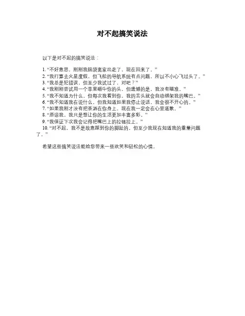 对不起搞笑说法