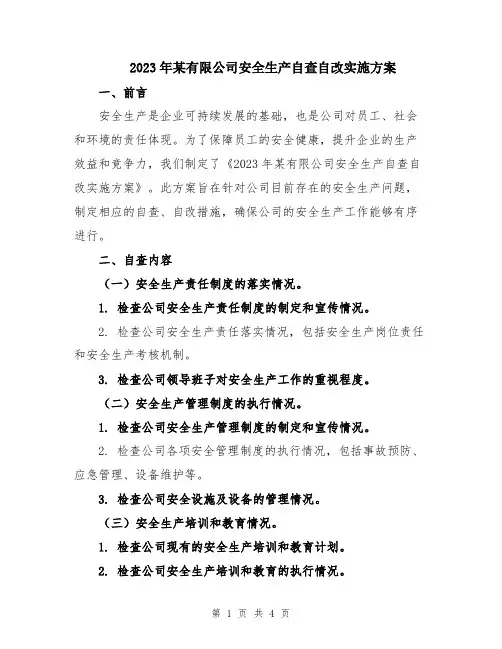 2023年某有限公司安全生产自查自改实施方案