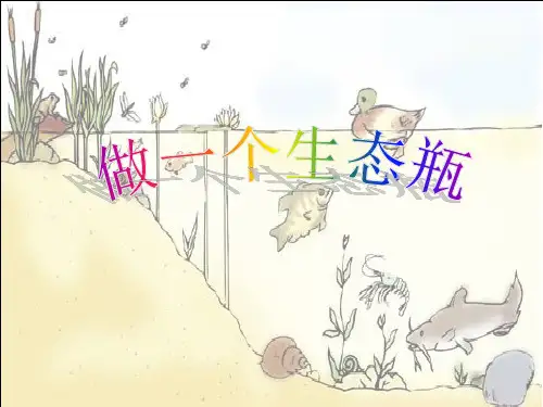 五年级上册科学_做一个生态瓶教科版(10张)精品课件