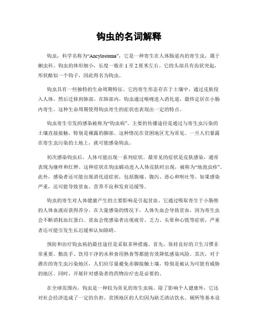 钩虫的名词解释