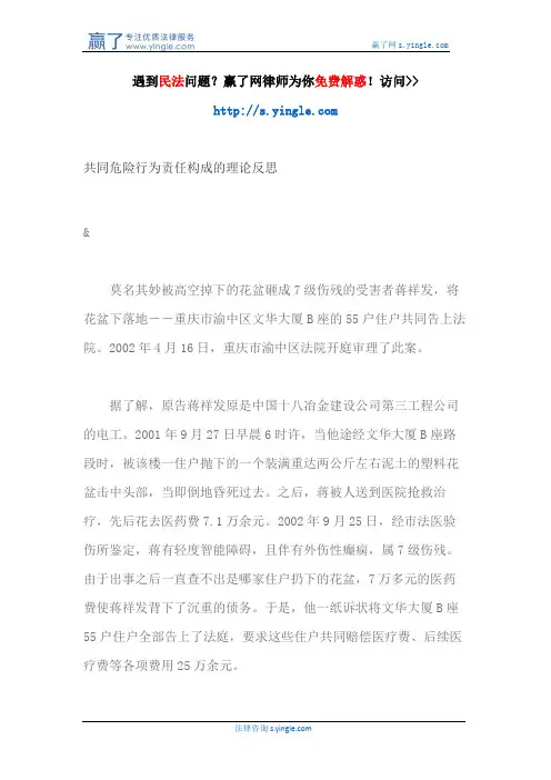 共同危险行为责任构成的理论反思