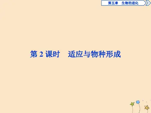 高中生物第五章生物的进化第二节进化性变化是怎样发生的第三节第2课时适应与物种形成课件浙科版必修2