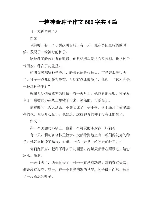 一粒神奇种子作文600字共4篇
