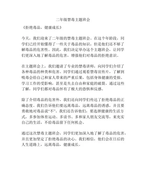二年级禁毒主题班会