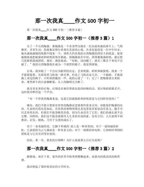 那一次我真作文500字初一