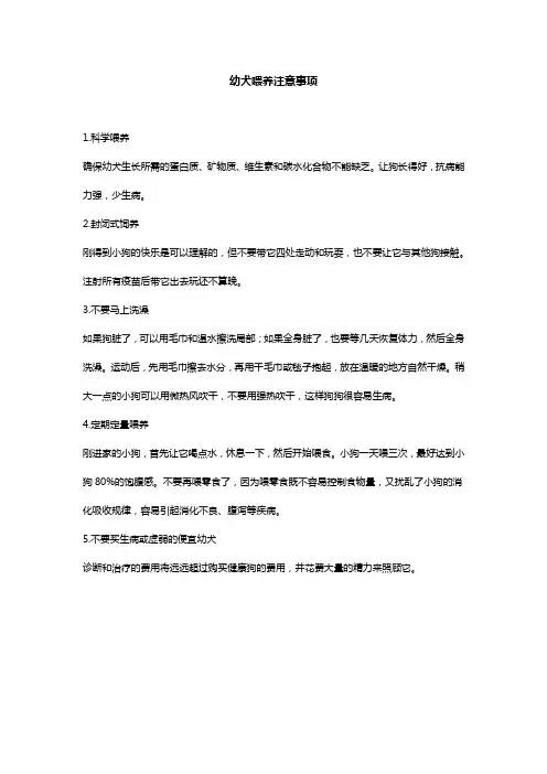 幼犬喂养注意事项