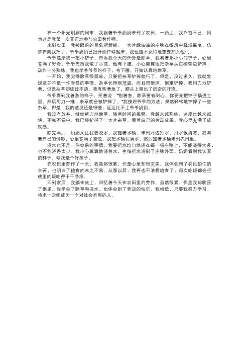 我在农田的劳作