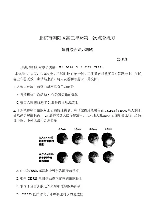 北京市朝阳区2019届高三第一次(3月一模)理科综合试卷(附答案)