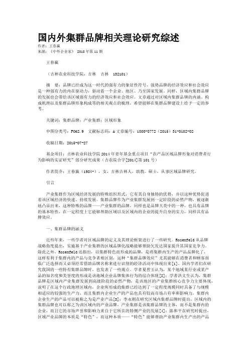 国内外集群品牌相关理论研究综述
