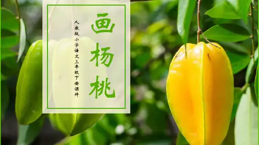 人教版小学语文三年级下册课件画杨桃PPT模板