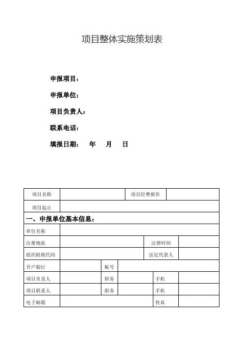 项目整体实施策划表
