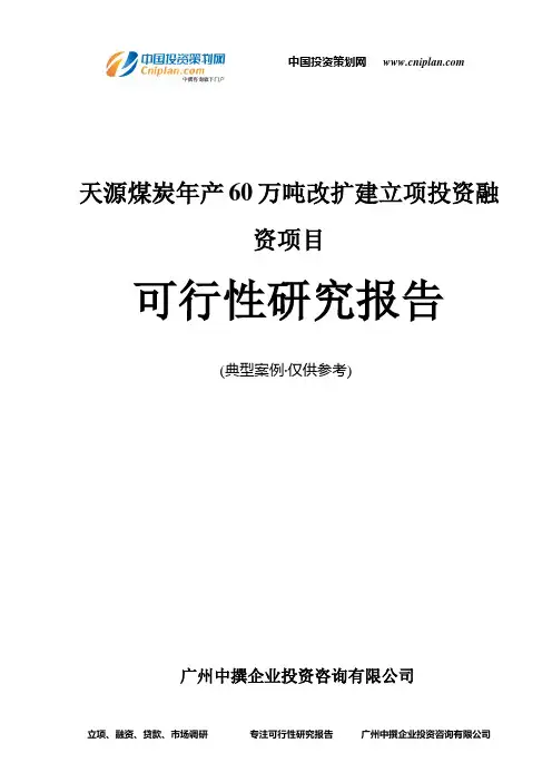 天源煤炭年产60万吨改扩建融资投资立项项目可行性研究报告(中撰咨询)