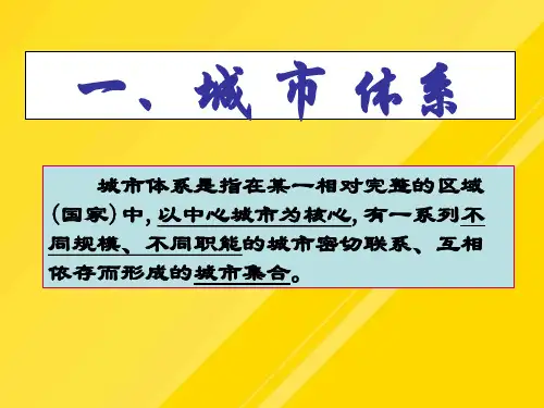 【优选】专题城市体系和城市群PPT文档