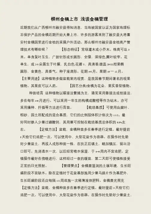 柳州金橘上市 浅谈金橘管理