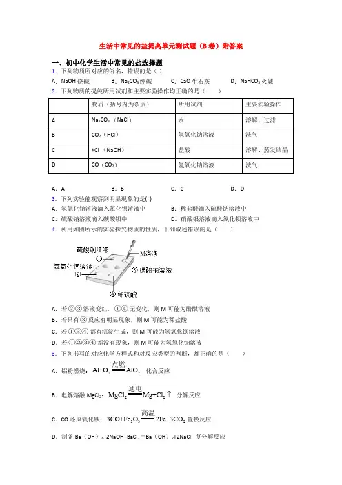 生活中常见的盐提高单元测试题(B卷)附答案