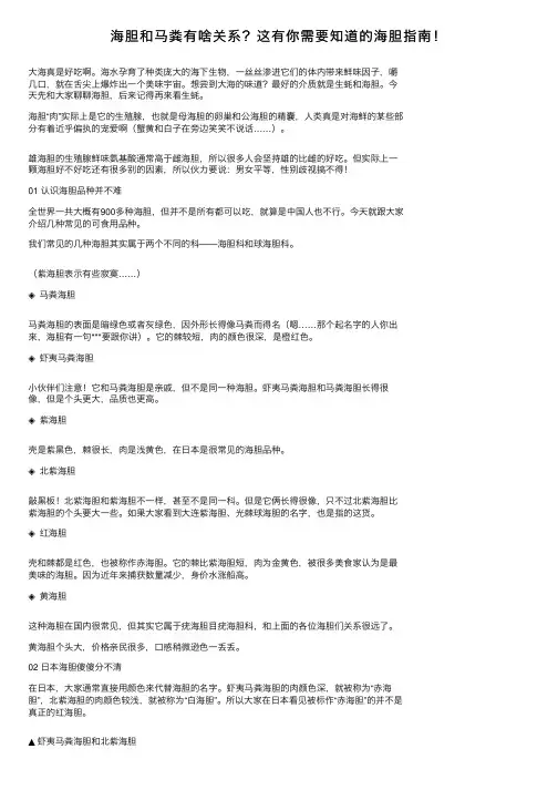 海胆和马粪有啥关系？这有你需要知道的海胆指南！