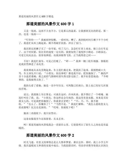 那道美丽的风景作文600字