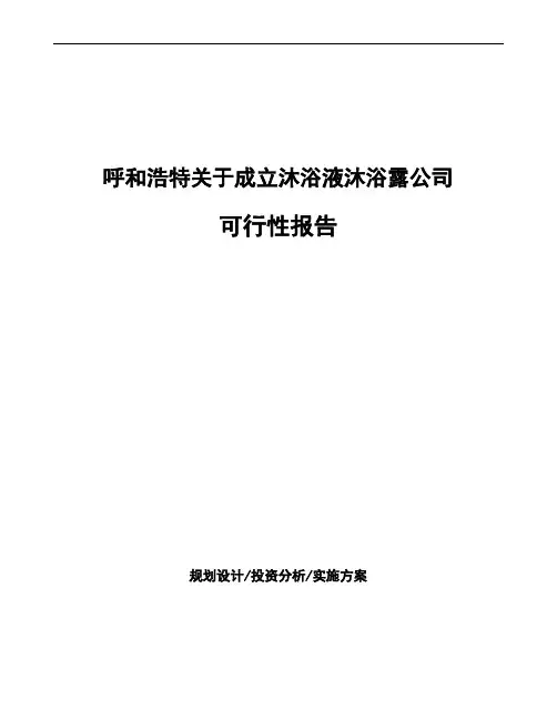 呼和浩特关于成立沐浴液沐浴露公司可行性报告