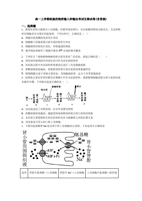 高一上学期细胞的物质输入和输出考试生物试卷(含答案)