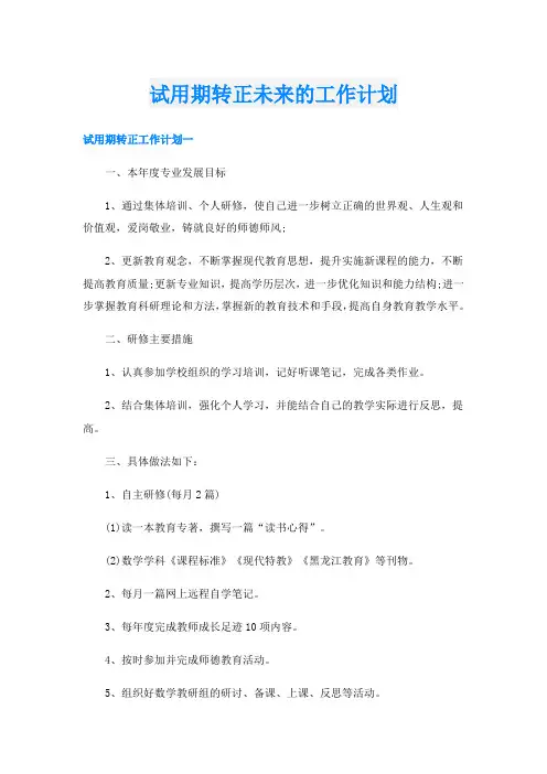 试用期转正未来的工作计划