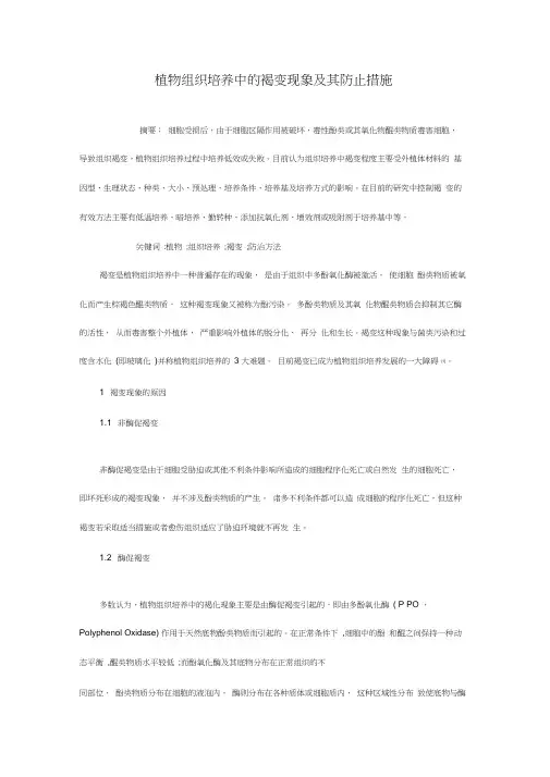 植物组织培养中的褐变现象与防止方法
