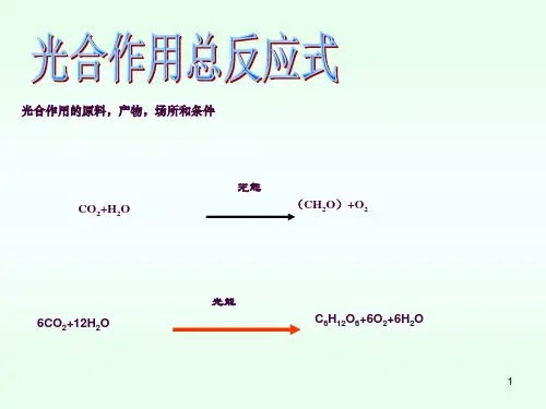 光合作用和呼吸作用复习ppt课件