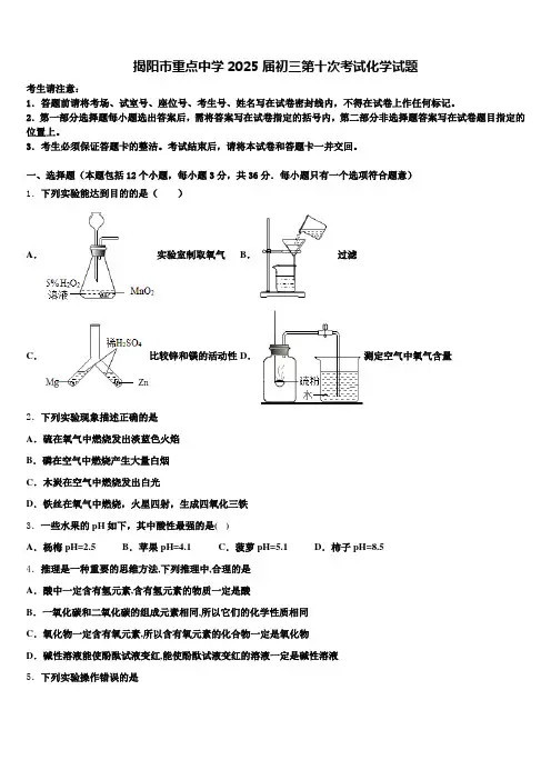 揭阳市重点中学2025届初三第十次考试化学试题含解析