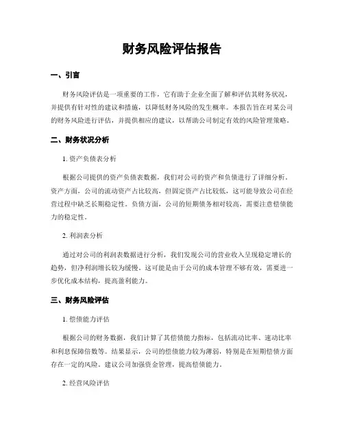 财务风险评估报告
