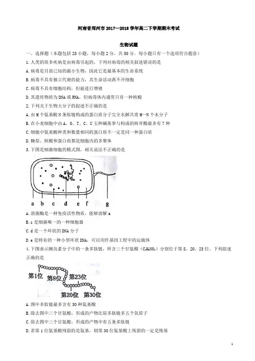 【精品】河南省郑州市2017-2018学年高二下学期期末考试生物试题缺答案
