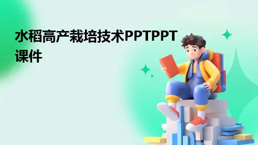 水稻高产栽培技术PPTPPT课件