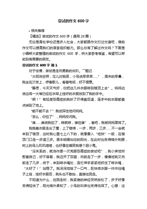 尝试的作文600字