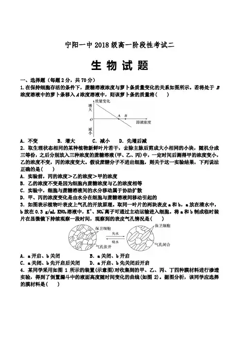 山东省泰安市宁阳一中2018-2019学年高一上学期阶段性考试二(12月)生物试题(含答案)