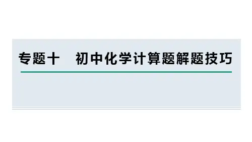 人教版化学九年级下册专题十 初中化学计算题解题技巧