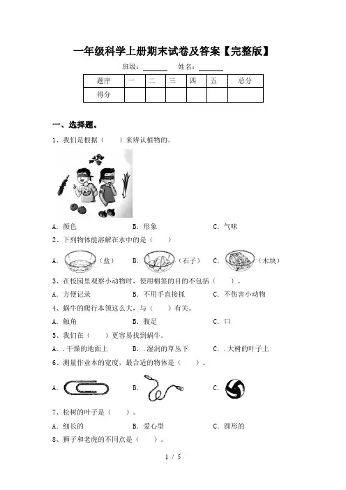 一年级科学上册期末试卷及答案【完整版】