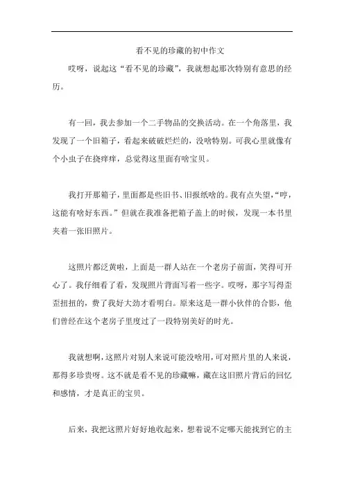 看不见的珍藏的初中作文