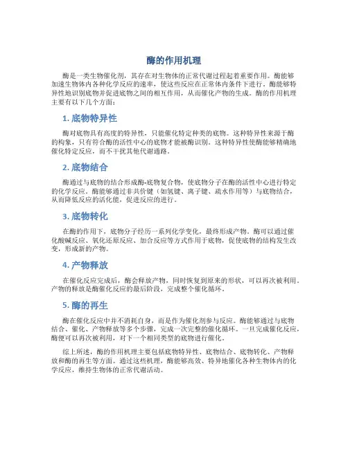 酶的作用机理有哪些