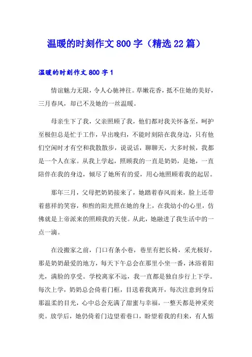温暖的时刻作文800字(精选22篇)