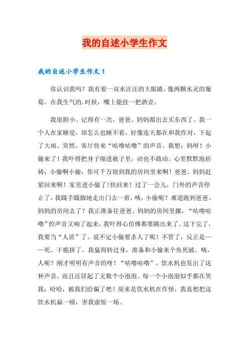我的自述小学生作文