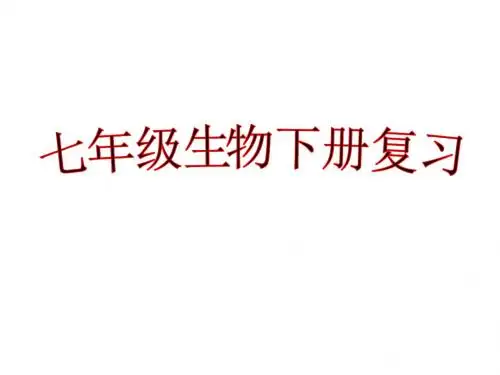 七年级下册生物第二章人体的营养复习课件